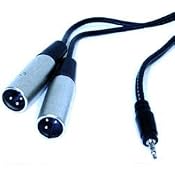 Amazon.com: HOSA STEREO 3.5mm (M) - TWO XLR(M), 3m (9.9 ft.): Electronics