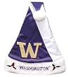 Washington Huskies Color Block Santa Hat
