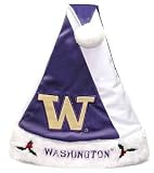 Washington Huskies Color Block Santa Hat