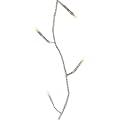 Ambientehome 51018 Lichterkette f�r Innen und Au�en mit 48 LED-Lichtern und Zeitschaltuhr, Warmwei�