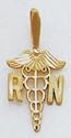 Registered Nurse Charm - M414