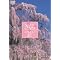DVD「映像遺産」シリーズ