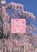 さくら 名所名木を訪ねて [DVD]