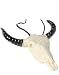 Cow Boy Girl Steer Skull Texas Necktie Cattle Necklace