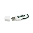Kingston Data Traveler - USB flash drive - 256 MB - USB