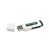 Kingston Data Traveler - USB flash drive - 256 MB - USB