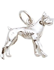 Rembrandt Charms Boxer Charm
