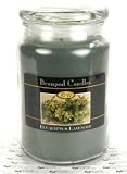 Buy Candles Online Beanpod Candles, Eucalyptus Lavender, 25 Ounce 31AGFRBA6VL. SL160 Buy Candles Online Beanpod Candles, Eucalyptus Lavender, 25 Ounce