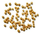 Review Whole Spice  / Mustard Seed (Yellow) Whole