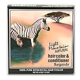 Burgundy Henna Powder 4 oz.