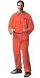 Jail Bird Costume - Adult Std.