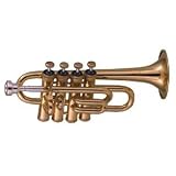 Amati ATR - 383 Series Bb / A Piccolo Trumpet, Silver - B001U4LO7I
