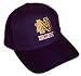 Notre Dame Fiber Optic Hat