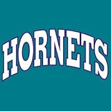 Hornets Revers NBA Replica Jerseys-Youth (EA)