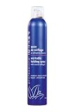 Phyto Workable Holding Spray