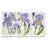 Beauty Blooms-Irises Womens Scoop Neck T-Shirt
