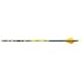 Carbon Express 350 2-Inch Vane Dozen Mayhem Hunter Arrow