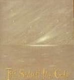 The search for gold : space and meaning in J. M. G. Le Clezio