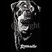 Rottweiler Adult T-Shirt