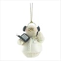 SNOWBERRY CUTIES CHRISTMAS HOLIDAY COMP TECHNICIAN