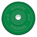 10 LB Solid Rubber Weight Plate GREEN