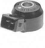 Borg Warner S8619 Knock Sensor