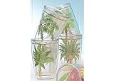 Tropix 4-pc. Palm Island 16 oz. Tumbler Set