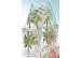 Tropix 4-pc. Palm Island 16 oz. Tumbler Set