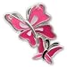 Finders Key Purse Butterflies Keychain