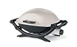 Weber 396002 Q 200 Portable Gas Grill