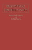 Industrial productivity : a psychological perspective