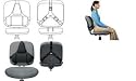 Pro Series Back Support