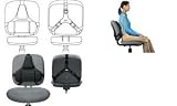 Office Products : Pro Series Back Support