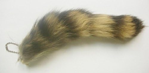 Real Raccoon Tail Keychain 6-10 Inches
