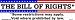 The Bill of Rights - Void where prohibited by law. bumper sticker
