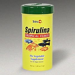 Buy Tetra Spirulina Tropical Flakes (1.84-oz container)