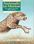Animals in Motion: How Animals Swim, Jump, Slither and Glide (Animal Behavior)