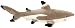Cuddlekins Blacktip Reef Shark 30in Plush