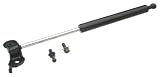 OES Genuine Hood Strut