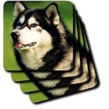 Dogs Alaska Malamute - Alaska Malamute Dog - Coasters