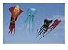 Octopus and Squid-Shaped Kites Fly Above Berkeley Marina Park, Photographic Poster Print by Stephen Sharnoff, 24x18