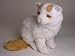 turkish van - Turkish Van, Sitting - Lifelike Plush|One Size - 14 inches