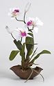 Mini Silk Cattleya Ochid Flower Arrangement - Artificial Plant