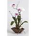 Mini Silk Cattleya Ochid Flower Arrangement - Artificial Plant