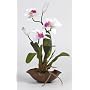 Mini Silk Cattleya Ochid Flower Arrangement - Artificial Plant