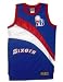 Philadelphia 76ers Hardwood Classic In The Paint Jersey