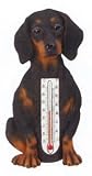 Outdoor Living : Dachshund Thermometer