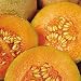 Organic Charentais Cantaloupe 35 Seeds