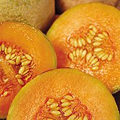 Organic Charentais Cantaloupe 35 Seeds - Heirloom