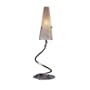 Zaneen Lighting Z6182AGO Trento Table Lamp, Antique Gold